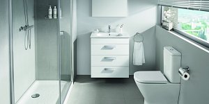 debbastandardlifestyle1